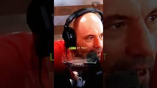 Mustang  GT350  Sounds Like a Ferrari...| Joe Rogan & Matt Farah from The Smoking Tire