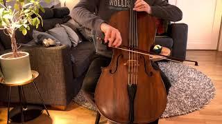 Pirastro Eudoxa ADG & Oliv C,  cello strings test