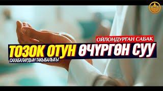 КЫЯМАТ КҮНҮ ТОЗОК ОТУН ӨЧҮРГӨН СУУ. САХАБАЛАРДЫН ТАКЫБАЛЫГЫ. (таасирдүү окуялар).  Шейх Чубак ажы ️