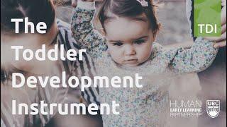 Toddler Development Instrument (TDI): What is it and why is it important