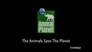 Заставка Animal Planet (2006 2008) The Animals Save The Planet