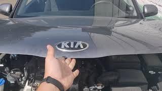 Газовые упоры KIA Rio X-line