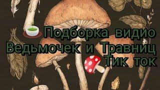 ПОДБОРКА ВИДИО ТИК ТОК ДЛЯ ВЕДЬМОЧЕК И ТРАВНИЦ 1 часть