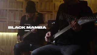 Alpha Wolf - Black Mamba (Guitar Playthrough)