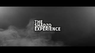 DJ ShadzO - The ShadzO Experience Vol 2 (Old School House Edition)