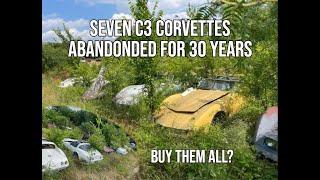 Scoring 7 Classic Corvettes in One Epic Junkyard Deal!