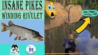 Big Pikes - Best Spot on Winding Rivulet [Russian Fishing 4]