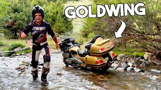 Riding my GOLDWING OFF ROAD