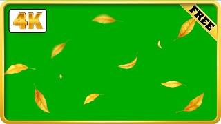 Golden leaves falling green screen video loops | Royalty-free video | 4k download