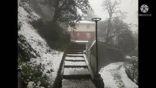 Indian Institute of Advanced Study (IIAS)a Research institute in Shimla, India