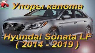 Установка упоров / амортизаторов капота на Hyundai Sonata LF / Хюндай Соната 7 (www.upora.net)