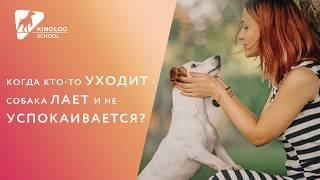 Когда кто-то уходит, собака лает и не успокаивается?