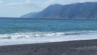 Whales at Shelter Cove Black Sand Beach