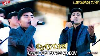 Umedjon Normurodov - Daydib | Умедҷон Нормуродов - Дайдиб (Лубёкорда Туйда) ABDULAZIZ MEDIA