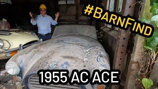 The video you have all been waiting for! #BarnFind extraction... Part One