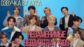 [Русская озвучка by Ayka] 10 вещей, без которых Stray Kids не могут жить | GQ