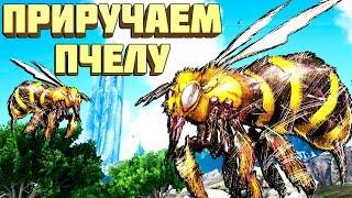 Арк Survival Evolved - Как приручить пчелу в ARK 