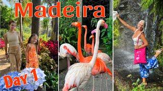 МАДЕЙРА, Тропический сад Монте, Фуншал. ПОПАЛИ в ДЖУНГЛИ! Madeira, Monte Palace Tropical Garden 4k