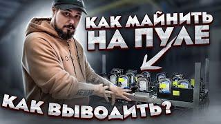 Chia - Как Майнить На Пуле? / Как Выводить? / Все Что Мы Узнали