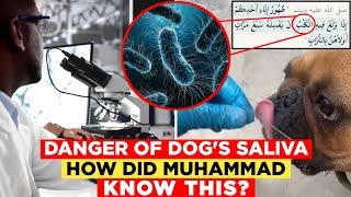 THIS AMERICAN SCIENTIST CONVERTED TO ISLAM AFTER RESEARCHING THE DOG'S SALIVA || Islam And Intellect