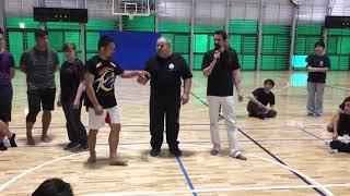 Mikhail & Daniil Ryabko  Systema Japan Systema Mastery Seminar 3 Special Class 25th May 2018 Clip 6