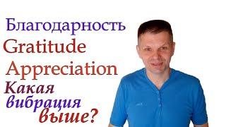 Два вида благодарности и чем они отличаются? У какой самая высокая вибрация?