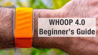 WHOOP 4.0 - Ultimate Beginner's Guide 2025