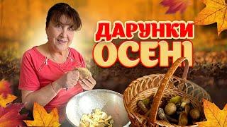 Наталя Фаліон - Дарунки осені/Грибна аномалія