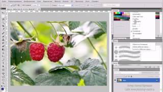 1. Знакомство с Adobe Photoshop CS5 ( 1.6 Рабочие среды )