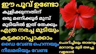 ഈ പൂവ് ഉണ്ടോ?കെമിക്കൽ ഇല്ലാതെ നരച്ച മുടി കറുപ്പിക്കാം/മുടി തഴച്ചു വളരാനും ഇതു മതി/Natural Hair Dye.