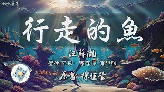 《行走的魚》 - 汪蘇瀧 [動態歌詞]【我們都好像一條魚行走在陸地 要學著呼吸】