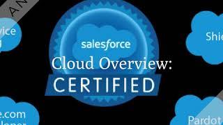 Best Salesforce training institute in noida-delhi