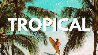 Faos —  Tropical Feels