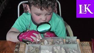 Nick Geologist / Investigate the Minerals 1p.