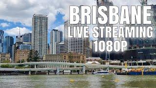  LIVE STREAMING - DOWNTOWN BRISBANE feel the vibe!!  1080P