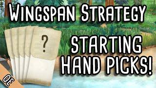 Wingspan Strategy | Picking some Starting Hands!