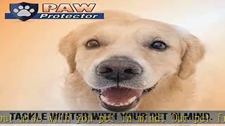 Paw Protector Pet Friendly Ice Melt (20 LB Bag) - Our Driveway and Sidewalk Deicer Will Keep Your P