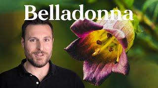 How This Poisonous Plant Became Medicine (Belladonna) | Patrick Kelly