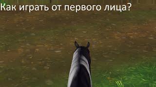 Как играть в ссо от первого лица|White horses