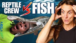 Reptile Crew FEEDS All The FISH at the Aquarium!