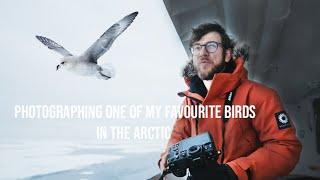 BIRD PHOTOGRAPHY in the ice | looking for WILDLIFE in the Arctic + Nikon 600mm f4 Z | Svalbard EP2