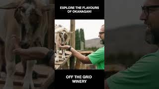 Explore the flavours of Okanagan!