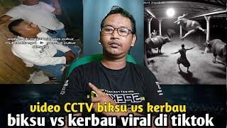 video rekam cctv biksu vs kerbau || viral tiktok begini penjelasan nya