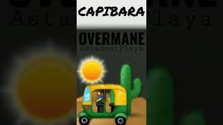 AstadantPlaya x OVERMANE—CAPIBARA