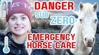 EMERGENCY WINTER HORSE CARE - This Esme