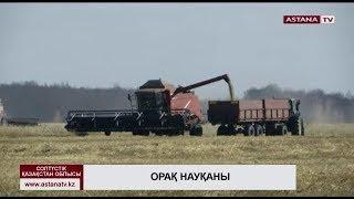 Солтүстік Қазақстан облысында егістік алқаптарының 95 пайызы орылған