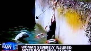 Polar Bear Attacks Woman, Berlin Zoo