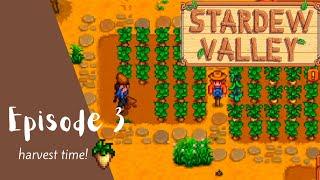 Stardew Valley Let's Play: Episode 3 - Time to Harvest!