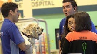 Fake Pet Smart Employee Prank!