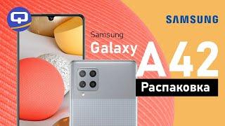 Samsung Galaxy A42 - Первое мнение. Краткий обзор/ QUKE.RU /